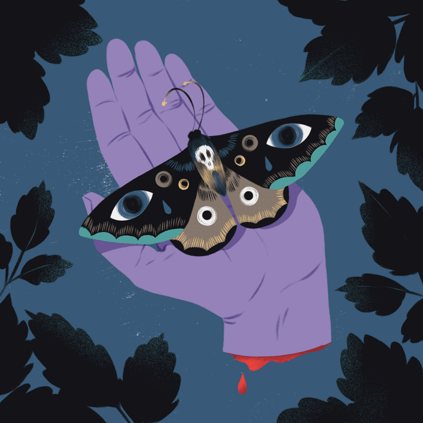 illustration-by-nicole-album-directory-of-illustration