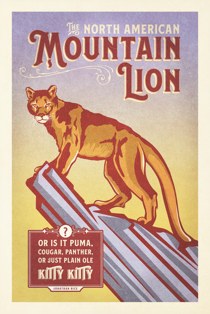 illustration of A playful take on one of North America’s most iconic predators, this mountain lion illustration combines bold character, vintage-inspired typography, and a touch of humor. The poster explores the many names given to the species—mountain lion, puma, cougar, panther—through a graphic composition influenced by classic travel posters, advertising art, and traditional printmaking.