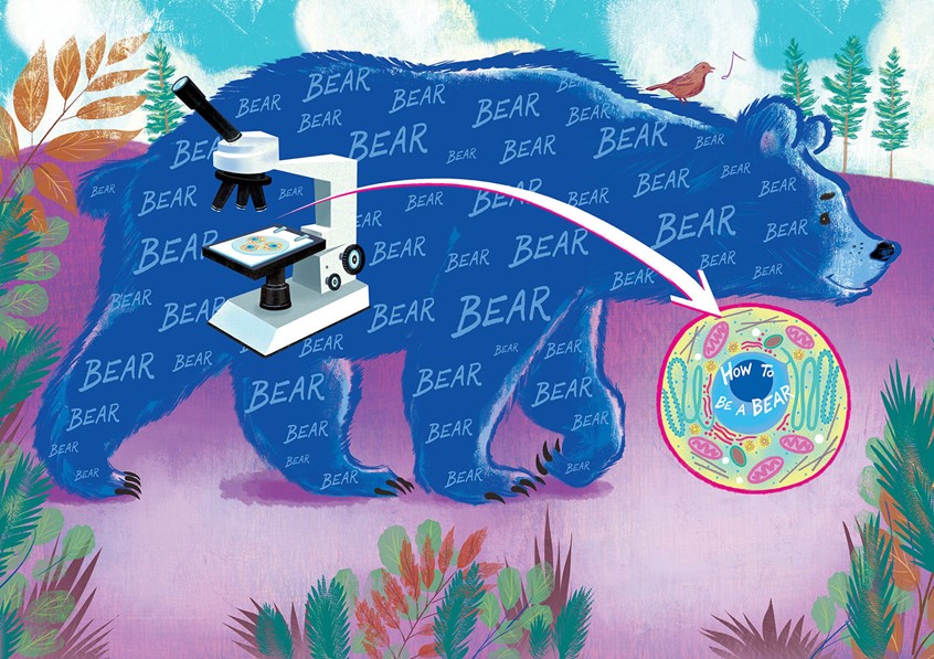 illustration of picture books, children's books, publishing,