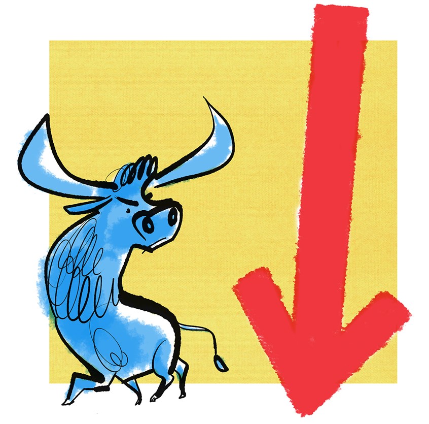 illustration of editorial, advertising, packaging, bull, Wall Street, money, finance, wealth, investments, stock market, bullish, market drop, Steven Salerno, Salerno