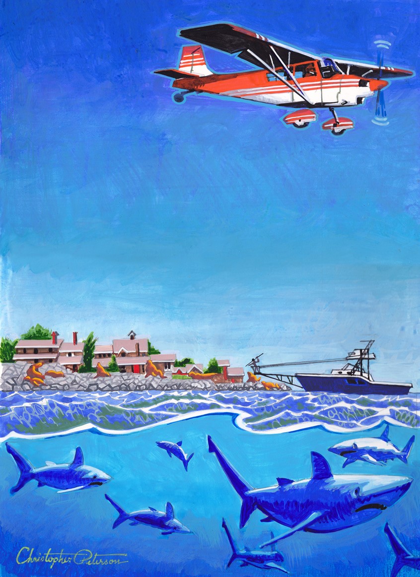 illustration of This illustration, for AOPA magazine, shows how a pilot, working with the captain of a boat, can spot where the sharks are and chase them away from the sea lions off the coast of Cape Cod.