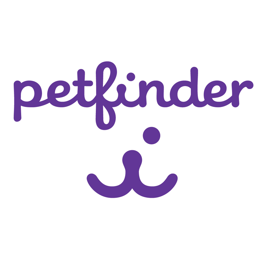 illustration of Petfinder brand and symbol, logo, logo design, logotype, hand lettering, hand-lettering, custom script, brand, brands, logotype, logotypes, logo, logos, handlettering, hand-lettering