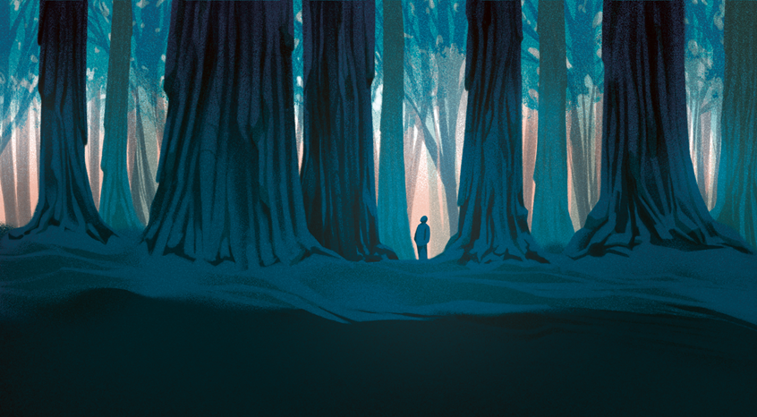 illustration of Illustration for Penn State Omnia Magazine FW 2022. Accompanies an article about the book Elderflora: A Modern History of Ancient Trees by author Jared Farmer. Landscape. Nature. Blue. Dusk.