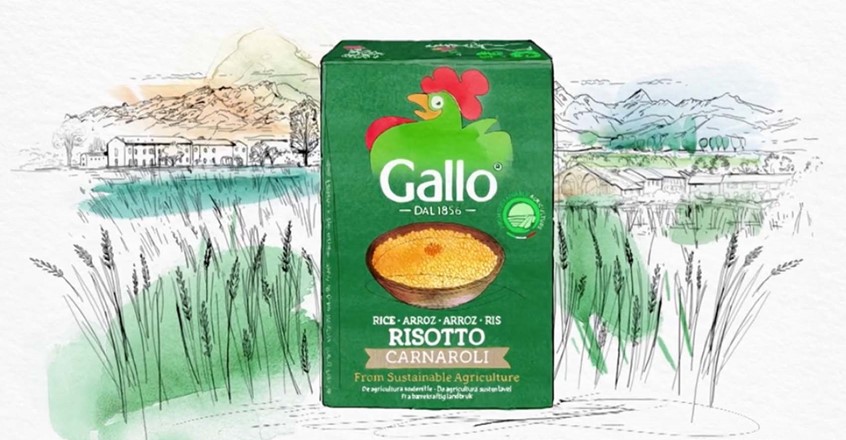 illustration of F/C illustration of package for Gallo Risotto , background done as a watercolour on paper and digital, wallpaper for hotel, editorial, advertising, packaging, line art, line art and color, people, woman's fashion, man's fashion, architectural, portraits,