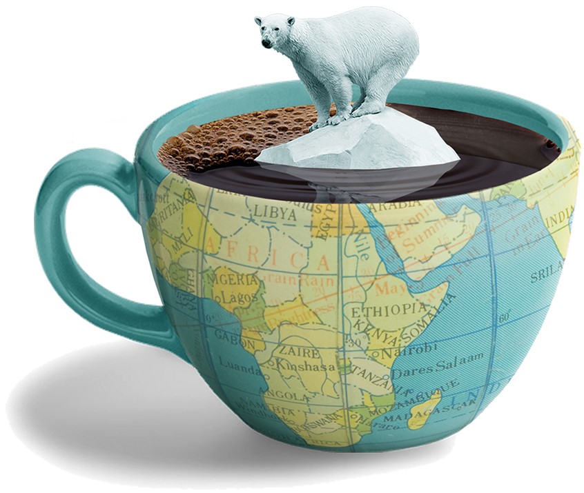 illustration of Client: Colgate Magazine (Colgate University).
Through the lens of everyday beverages such as coffee, water, wine and tea, students learn about the effects of their consumption, as well as how the production of these beverages affects the environment and the lives of the people who make them.