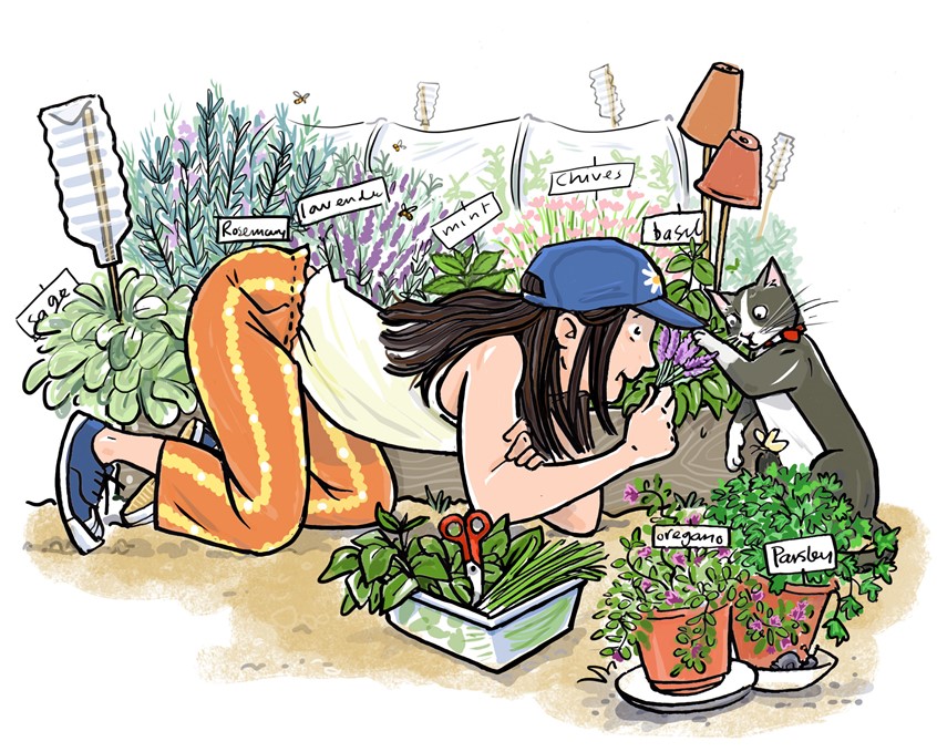 illustration of garden, herbs, gardening, herbs, food, leaf, flower, cat, pet, play, girl, granddaughter, sister, outdoor, hobby, pastime, leisure, skill, traditional, calm, mindful,