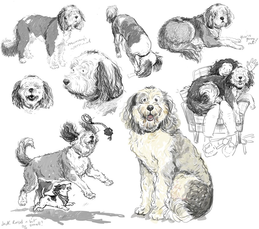 illustration of dog, pet, companion, family, outsize, big, energy, friends, shaggy, sheepdog, large, love, fun, play, chase, park, terrier, small, animal, outdoor, walking, exercise, character, development, picture, books, publishing, health, vitality, emotion