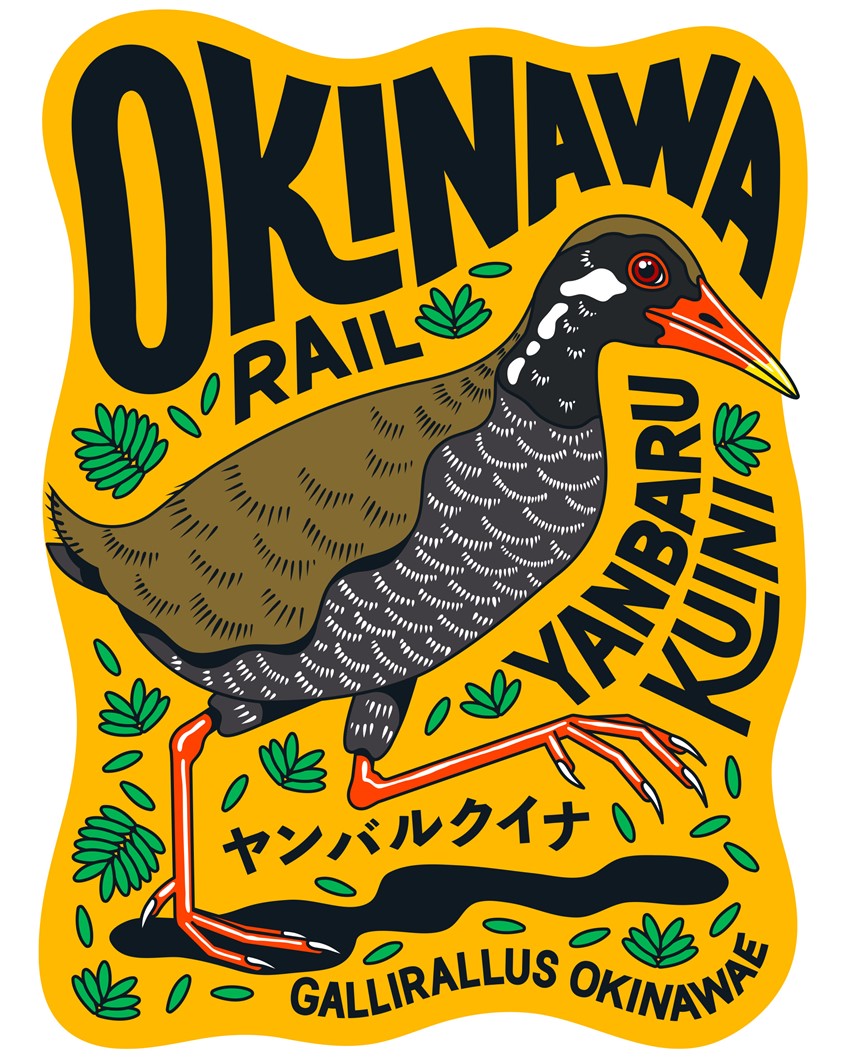 illustration of Endemic to the lush Yambaru forests of Okinawa, the endangered Okinawa Rail (Gallirallus okinawae) stands as a symbol of island biodiversity and the urgent call for conservation.