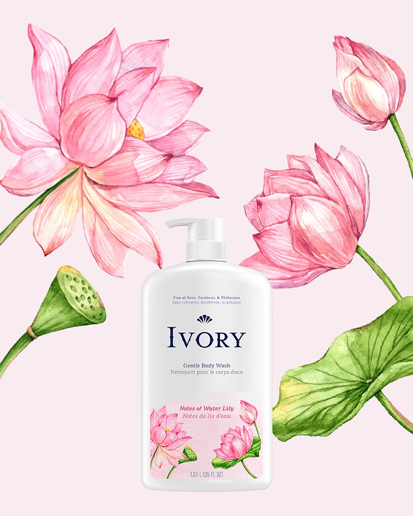 illustration of I had the joy of collaborating with P&G’s Ivory brand team on their body wash line packaging refresh. I contributed hand-painted watercolor illustrations for these SKUs: Water Lily, Honey, Coconut, Aloe, Lavender, Jojoba, Sensitive, Original Scent.
Floral, lotus, beauty, skincare, wellness, label, scent, ingredients, CPG.