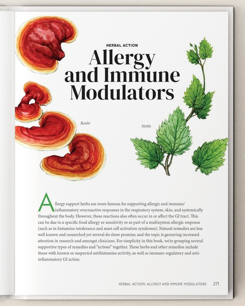 illustration of Reishi mushrooms and Stinging nettle chapter opener. Botanical illustration for the Herbal Gut Health book by Storey Publishing.
Medicinal herbs, herbalism, food, recipe, cookbook, wellness, natural remedy, plant identification, foraging.