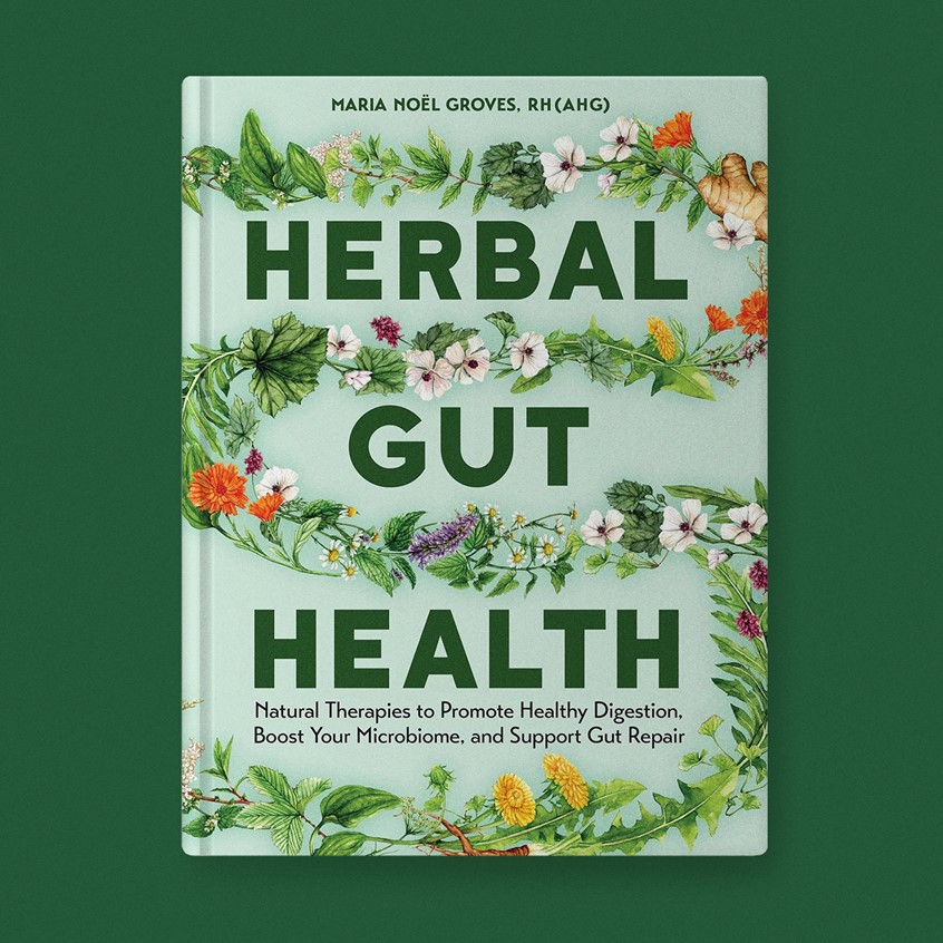 illustration of Botanical illustrations for the Herbal Gut Health book cover for Storey Publishing.
Medicinal herbs, herbalism, food, recipe, cookbook, wellness, natural remedy, plant identification.