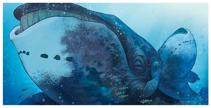 illustration of A close, immersive underwater view of a whale rendered in cool blues and soft textures, coveying intimacy, calm, and quiet power through scale and gentle light. children's, narrative, animals, whimsical, character, whale, grandparents, grandchild, love, family, underwater illustration, whimsical, blue tones, painterly texture, soft lighting, tranquil mood, joy, happiness, lyrical illustration.