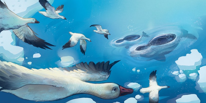 illustration of A sweeping children's book illustration showing migrating geese flying low over the icy northern waters, while whales glide just beneath the surface. children's, animals,narrative, whimsical, character, Cool blue tones, arctic, ocean, sea creatures, whales, birds, wildlife, movement, blue tones, arctic animals, migration, northern landscape, indigenous land