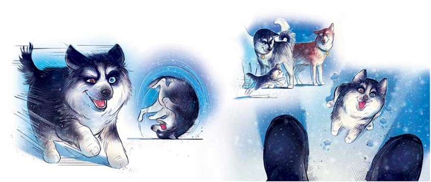 illustration of A series of vignette illustrations depicting an eager baby husky tumbling his way over to see Santa. children's, narrative, animals, whimsical, character, husky, puppy,dog, Santa, loyal, holiday, Christmas illustration, helpers, north pole, animal characters, dog team, sled dogs, seasonal.