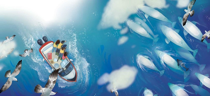 illustration of A narrative children's book illustration depicting a pod of beluga whales from birds eye view while the indigenous family observes from the boat. children's, animals, whimsical, character, people, figures, narrative, arctic ocean, sea life, whales, underwater scene, serenity, boat, native land, indigenous family, education nature, family, love, learning, girl, uncle, ocean life, beluga, boat, seagulls, adventure