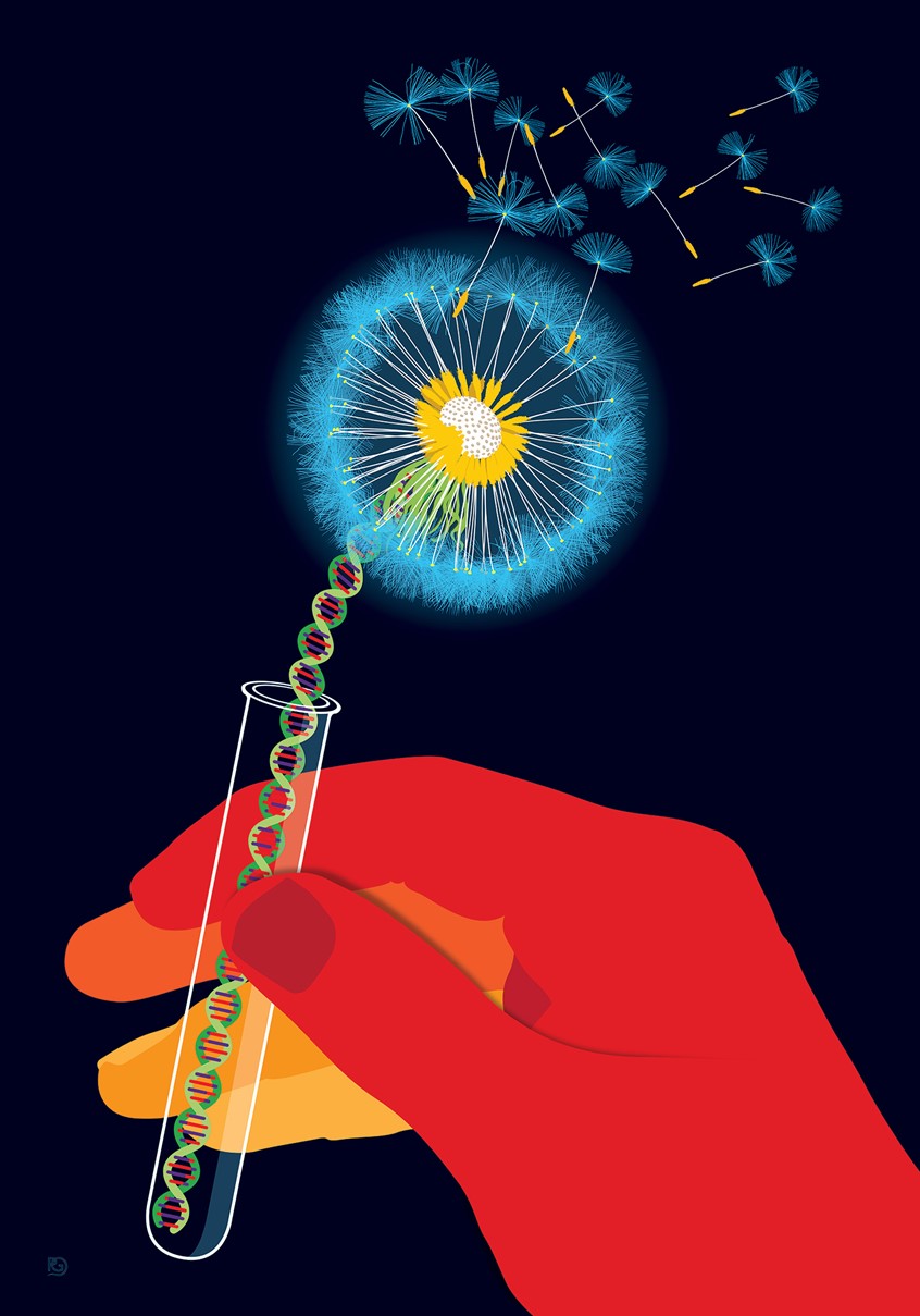 illustration of Medical Poster for Stem Cell Treatment organisation, DKMS.
#stemcells, #transplant, #cancer, #blood, #dna, #medical, #cure, #donation, #life, #cells, #testtube, #lab