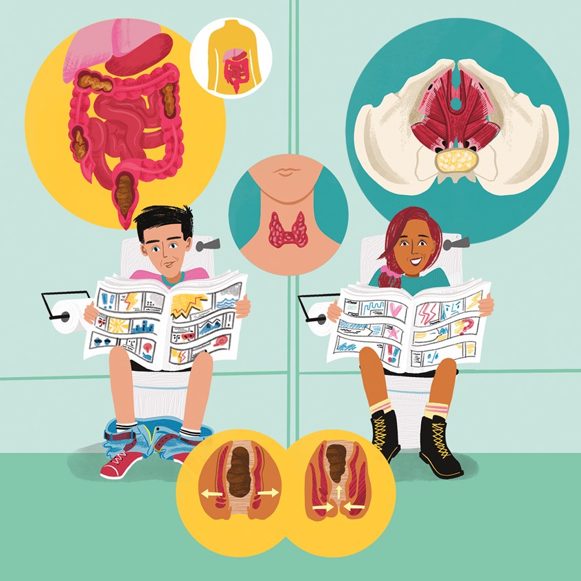 illustration of How do we Poop? From 'A day in the life of your body' Published by DK.
An illustration of a boy and girl sat on the toilet with anatomical illustrations showing what goes on in the body when you go to the toilet.