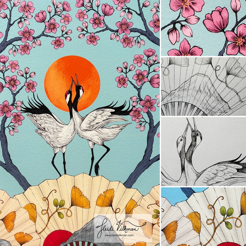 illustration of A Dancing Cranes illustration for Japan collection with process details on ink line and drawing. Detailed hand drawn ink and digital colouring. With Japanese fan, sensu, and cherry blossom, sakura, trees framing the dancing cranes in Spring time in Japan. Suitable for licensing.