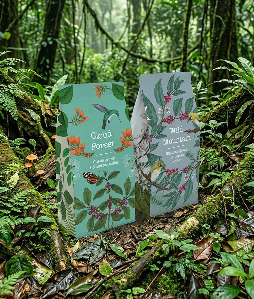 illustration of Wild Brew is a coffee concept collection, hand drawn in detailed ink and digitally coloured, to convey two stories of coffee growing ecosystems in two different countries in the world, Ethiopia and Columbia. The packaging concept illustrate the need for storytelling in packaging and highlight the need for consumers to make more informed choices on their products. Lush painterly style illustration with expressive ink line.