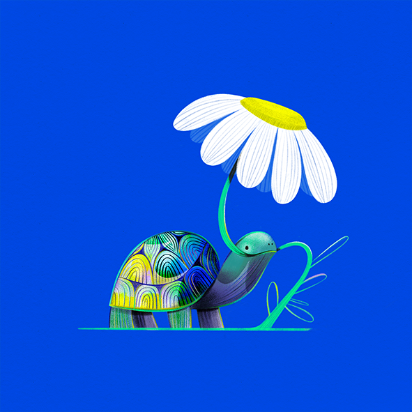 illustration of I have a thing for turtles and flowers. This little fellow started out as a linework, and through the years colors and other floral adventures have followed. Comes with an adorbs warning, might melt your heart.