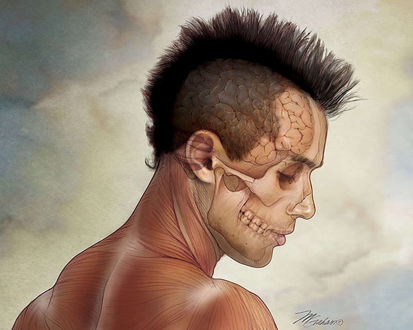 illustration of Man with mohawk haircut and a transparent face showing the brain, zygomatic arch, maxilla and mandible. Also seen in the image are muscles of the lateral neck and upper back.